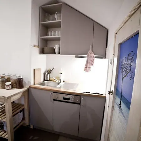 Tapir Auberge de jeunesse